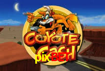 Blackjack Table pixbet